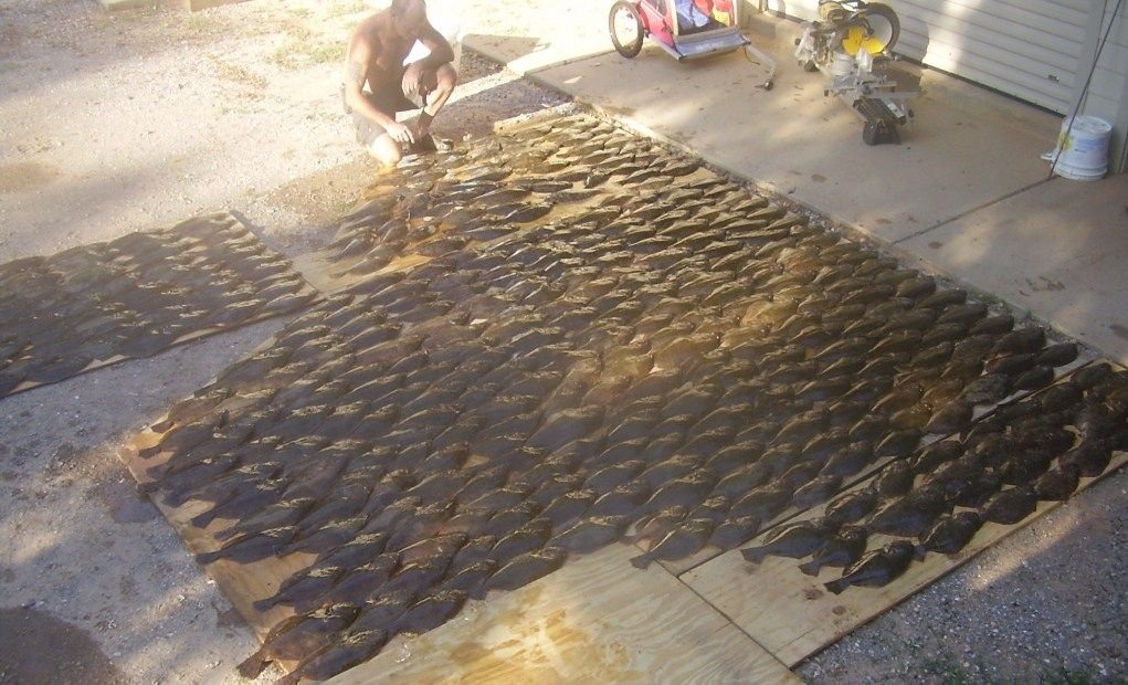 Spot run Page 3 The Hull Truth Boating and Fishing Forum