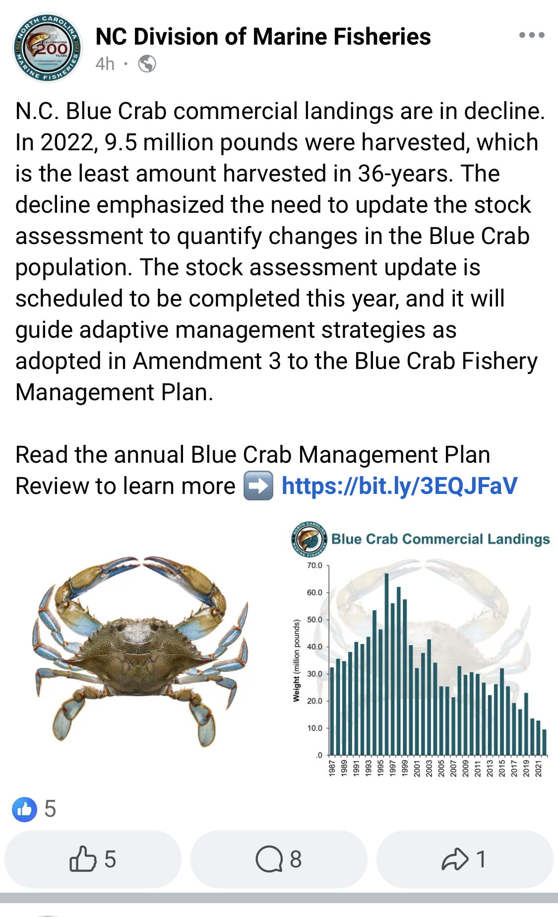 Environmental impact when crabbing - Bush 'n Beach Fishing Magazine
