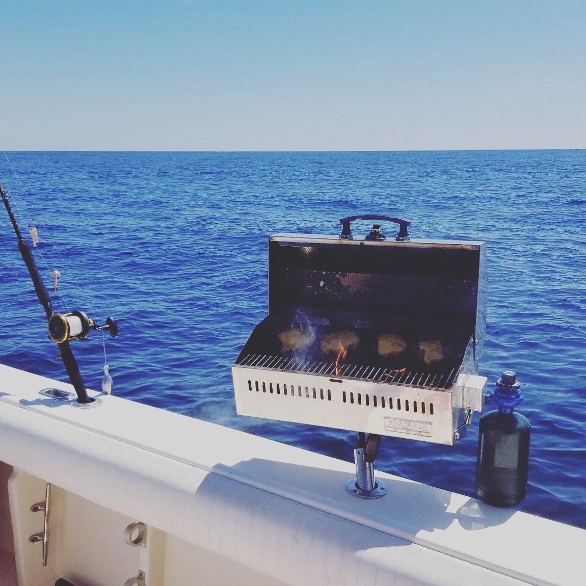 Bbq grill, suction drink holders, under gunnel rod holders - The Hull Truth  - Boating and Fishing Forum