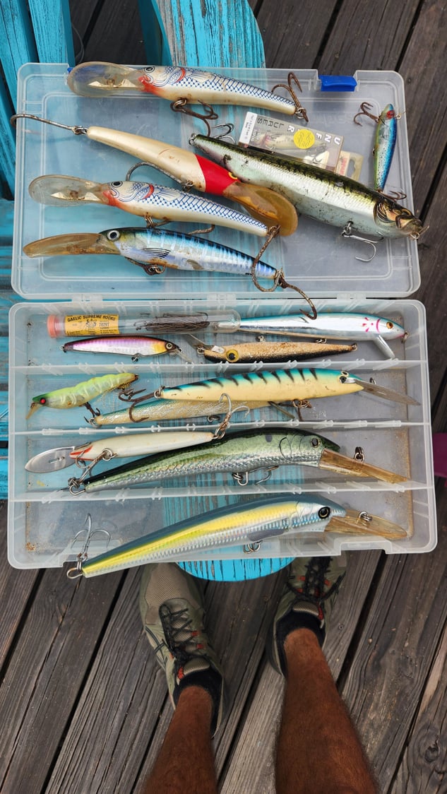Fishing Lures - The Hull Truth - Boating and Fishing Forum