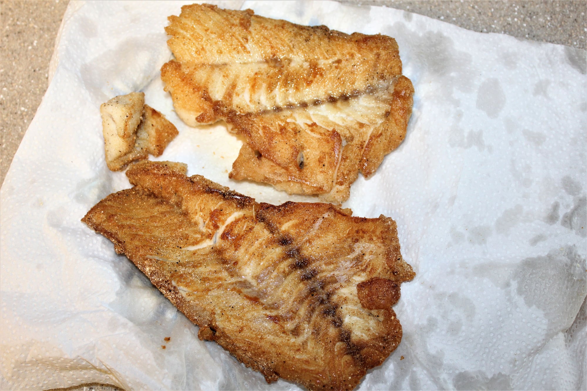 I Grew Up Eating Deep Fried Fish - Page 3 - The Hull Truth - Boating ...