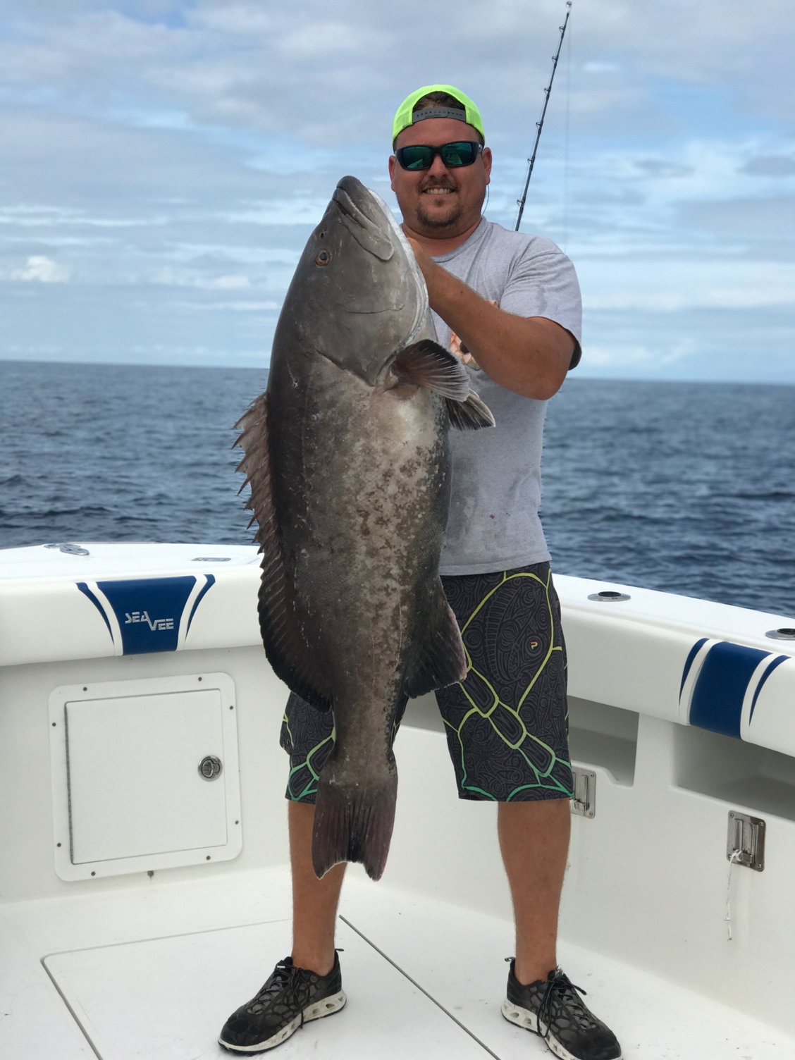 Rod and reel for Grouper. - Page 3 - The Hull Truth - Boating and