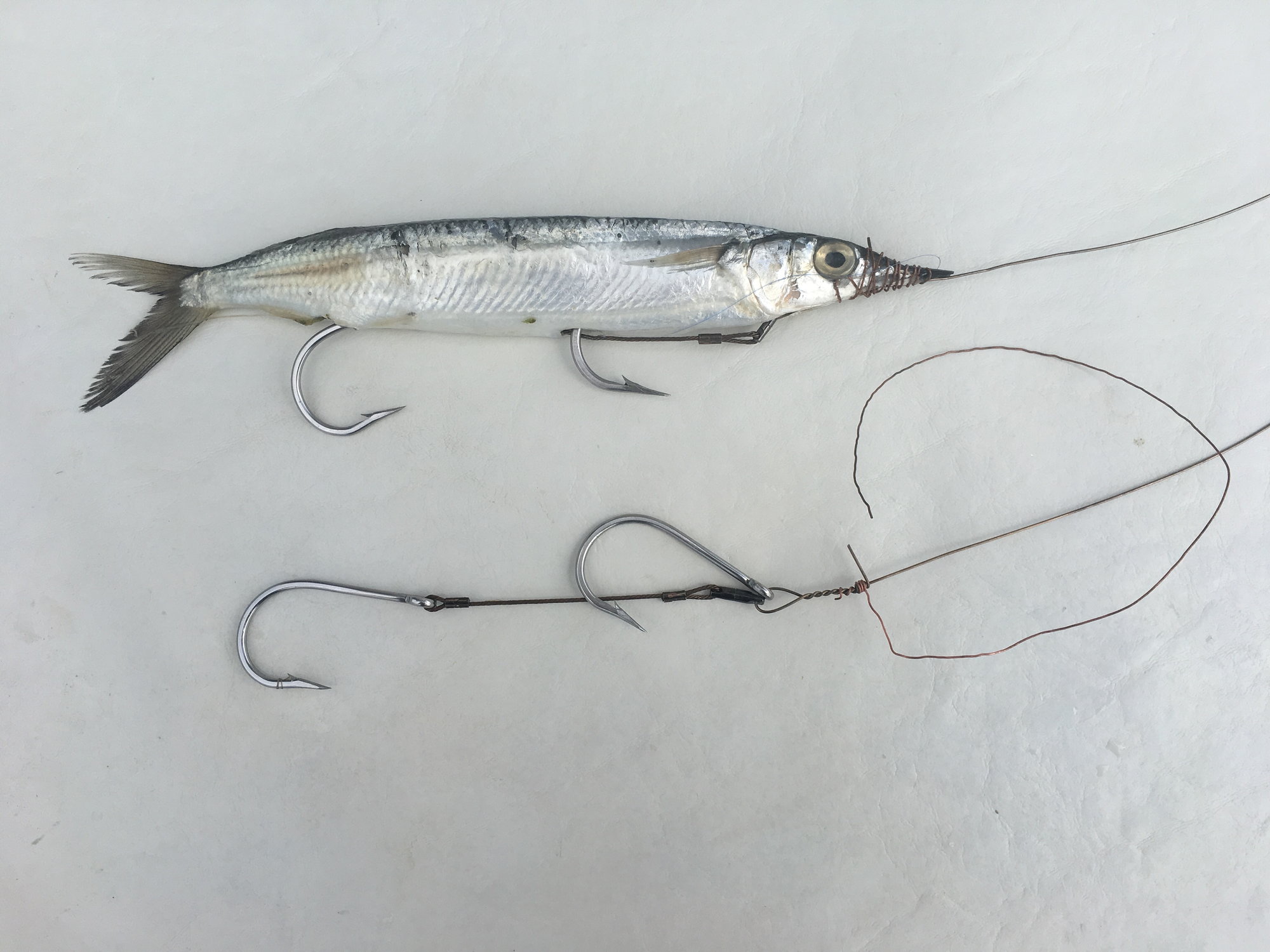 Double hook Ballyhoo? - The Hull Truth - Boating and Fishing Forum