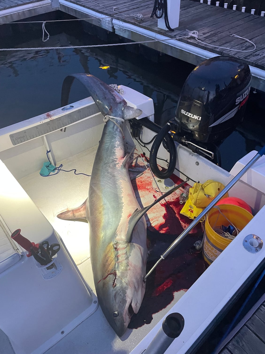 Biggest fish safely on boat - Page 3 - The Hull Truth - Boating and Fishing  Forum