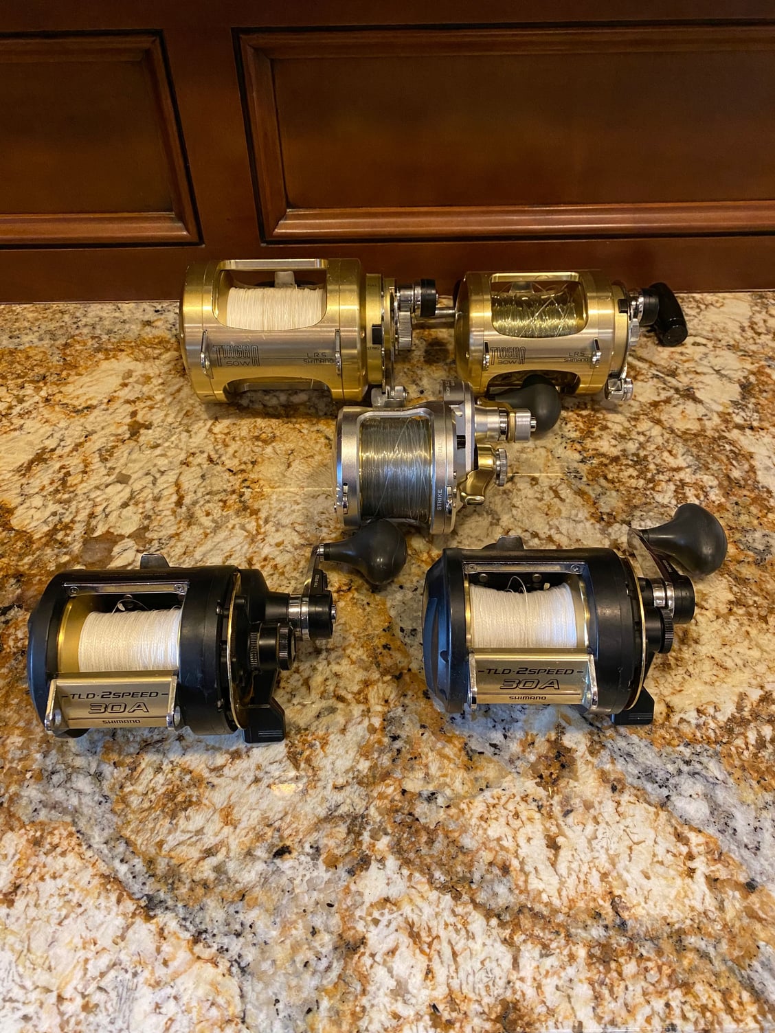 Shimano 2 speed - The Hull Truth - Boating and Fishing Forum