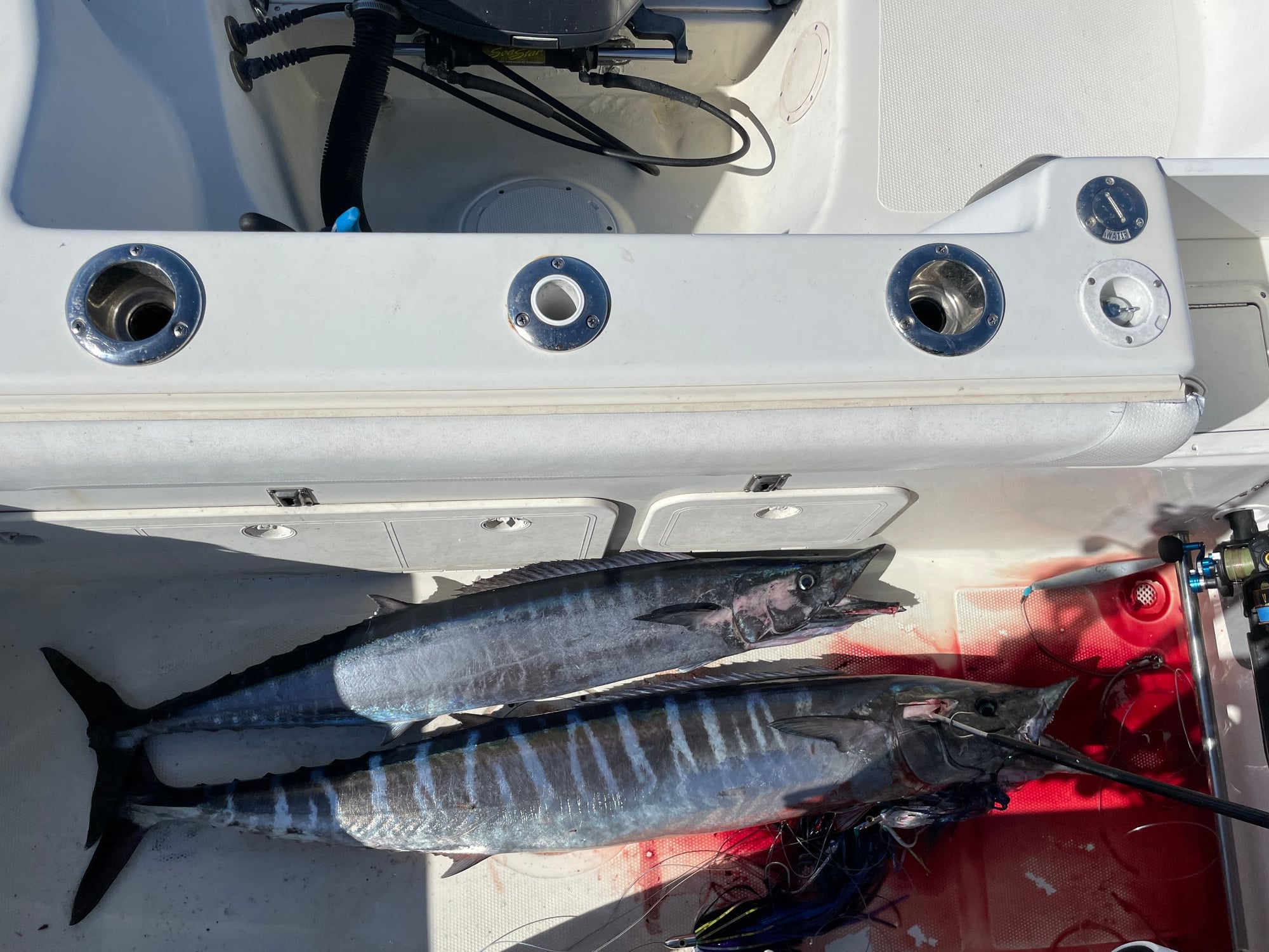 Where are the Wahoo- Beaufort Inlet - The Hull Truth - Boating and