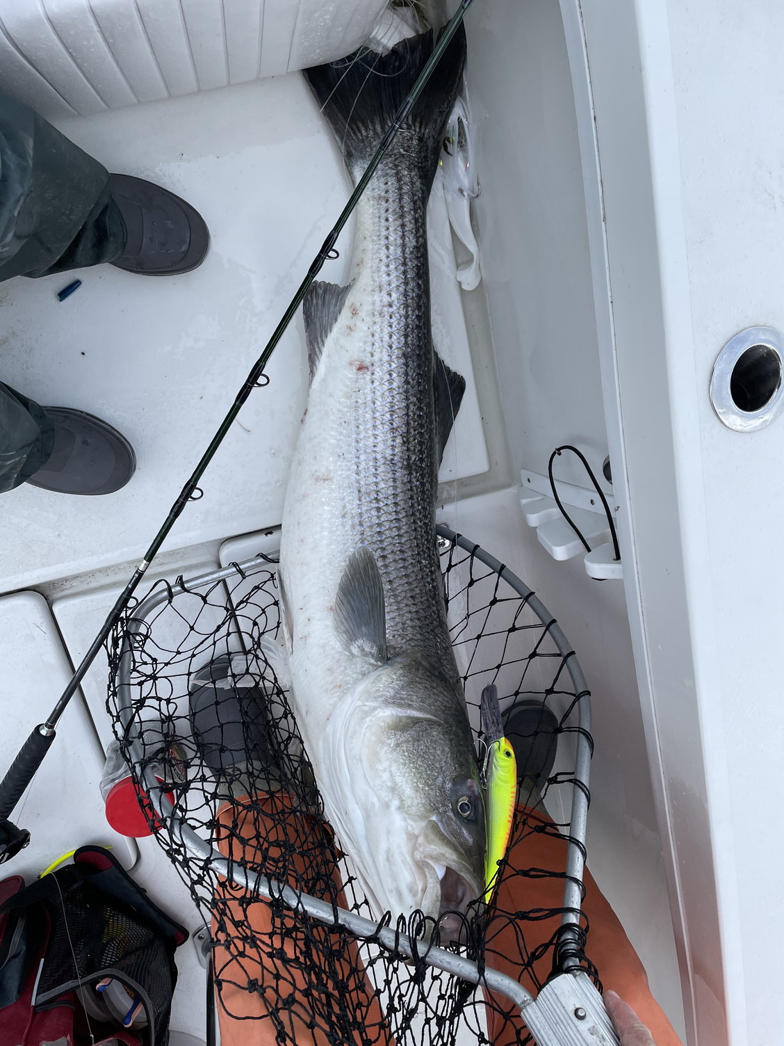 Lightweight Strong Jigging rods with Fuji Guides 7'0/6'6/5'6 - The Hull  Truth - Boating and Fishing Forum