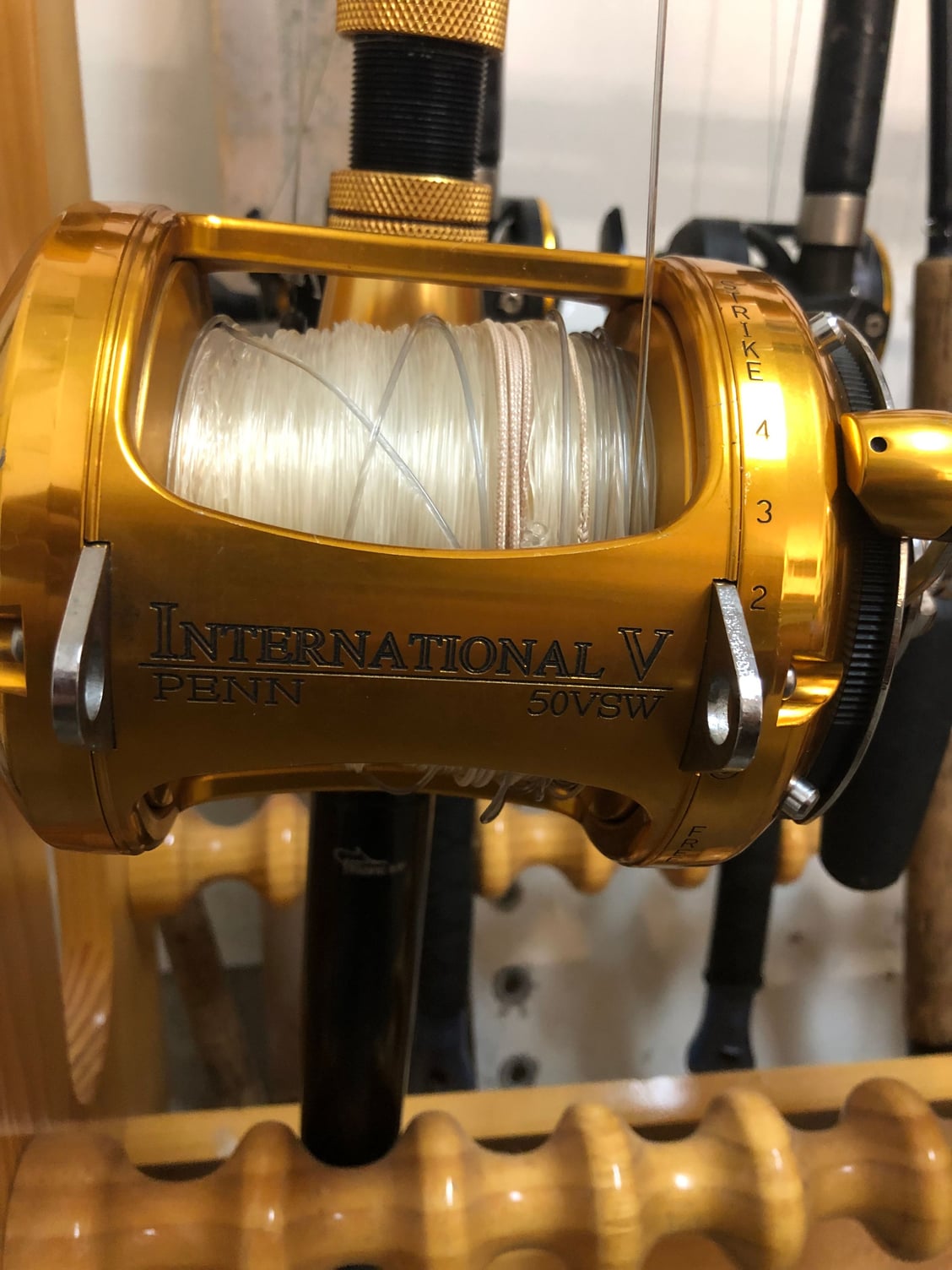the potential of a penn international II 50sw - The Hull Truth - Boating  and Fishing Forum