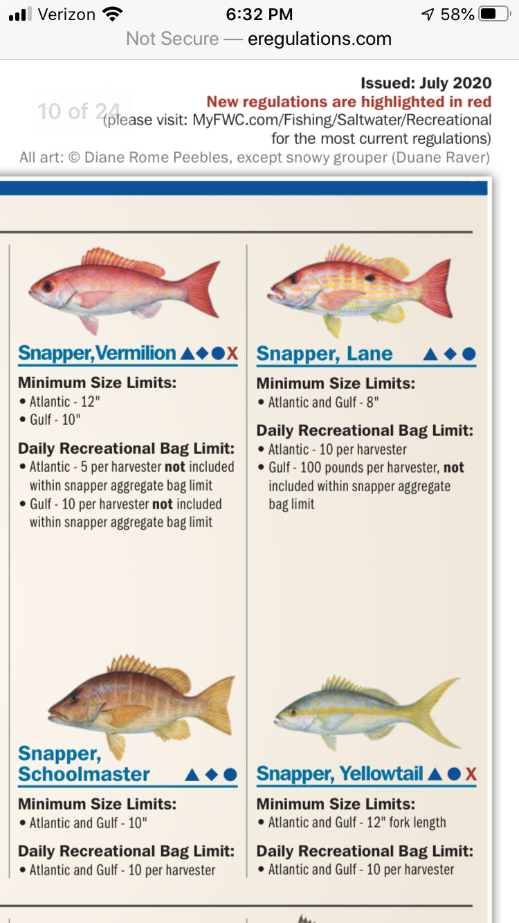 Yellowtail measurement total or fork? - The Hull Truth - Boating and Fishing  Forum
