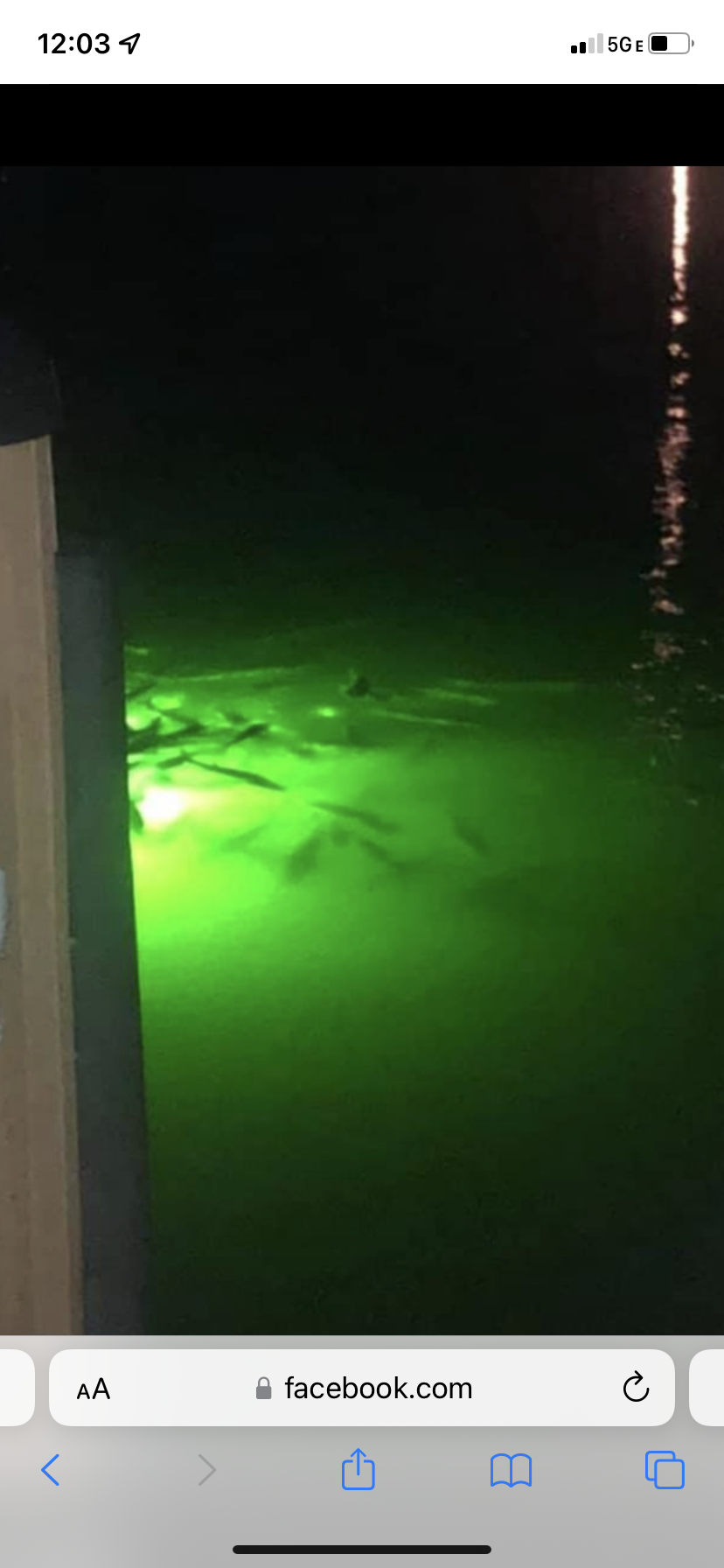 Where can I get one of these Big Green Led Dock lights? - The Hull