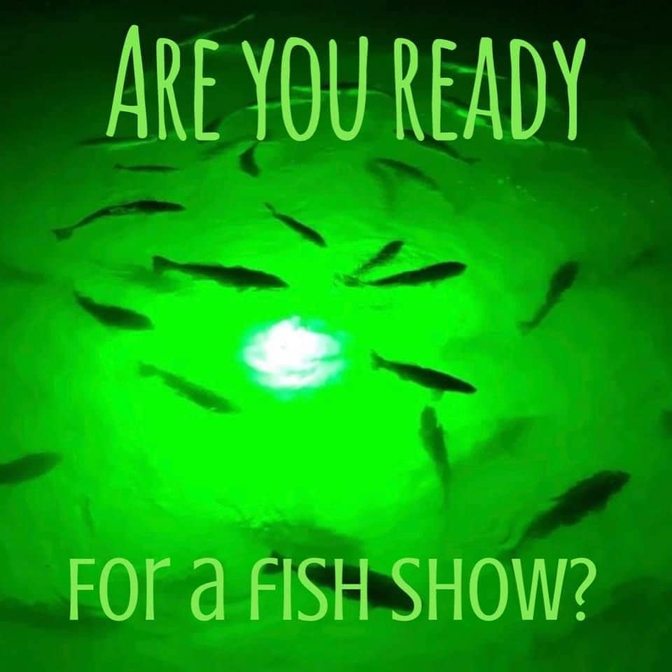 Underwater Green Fishing Lights - The Hull Truth - Boating and Fishing Forum