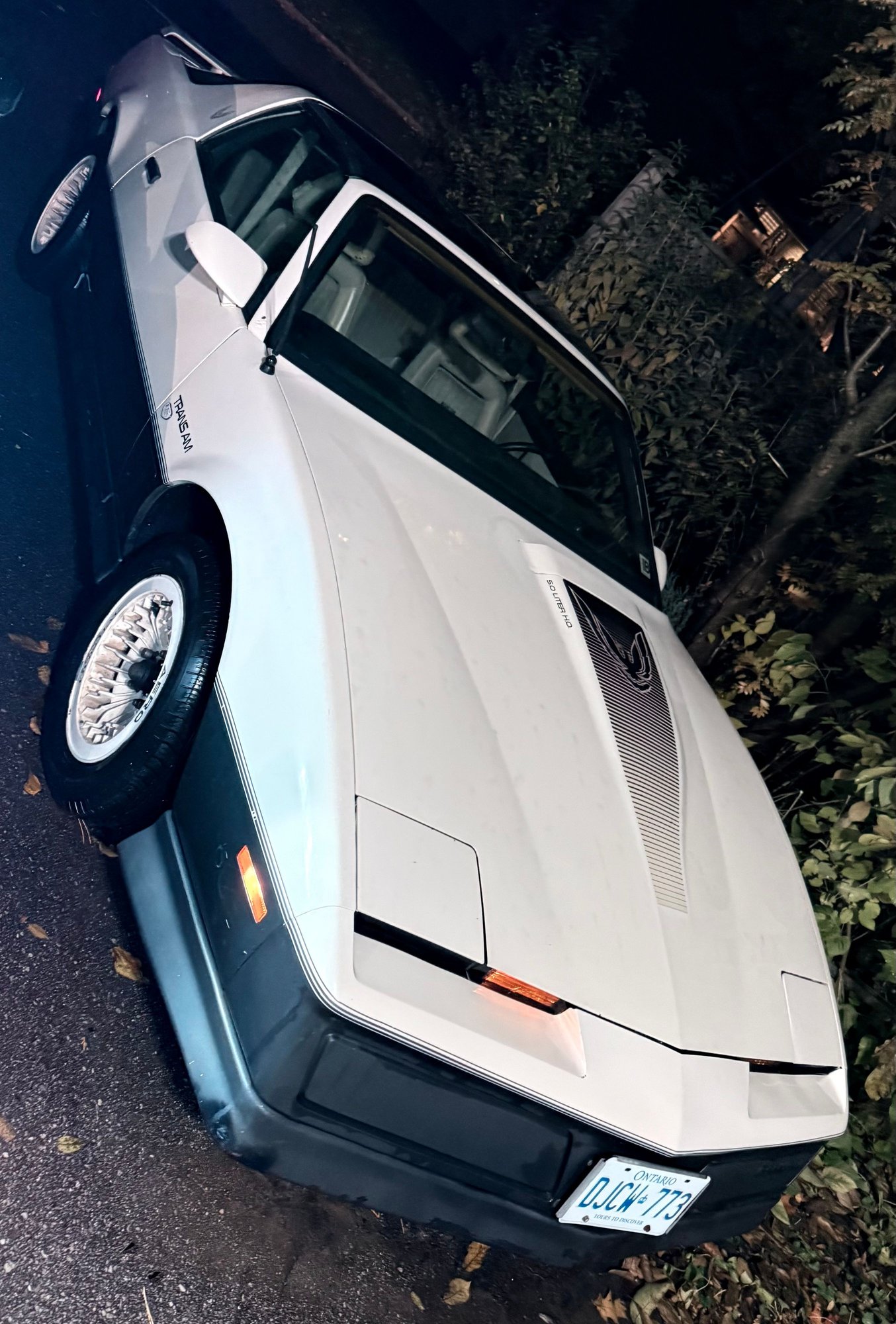 I�m just north of financial drive 