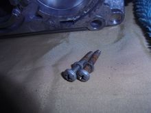 These came from another rebuilt throttle body that I had and interestingly the rebuilder used these instead of the torx headed ones that are prone to wringing off.