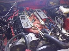 My Post Pictures