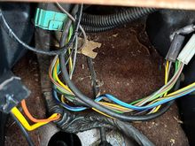 It’s the two on the left. 