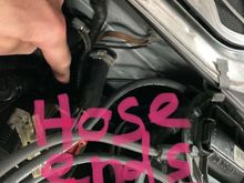 The hose ends in a wire harness in front of the passengers side firewall