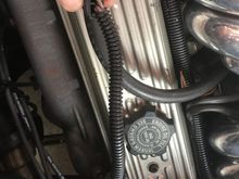 Wires are red and white and plug into a plug. (if that helps)