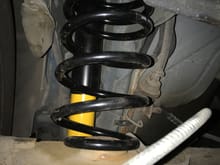 New coil spring and Koni shock