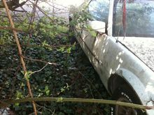 this is how i found it. under a tree for 6 years. the front passenger side corner pannel is replaced, so that gives me some concern.