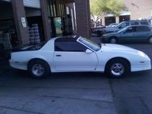 betsy