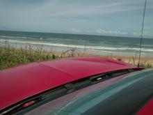 At the beach