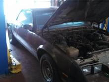 First time to the shop. New fuel pump and hoses just to keep the poor wreck running! A LOT of work still to be done