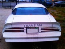 1976 Trans Am #3