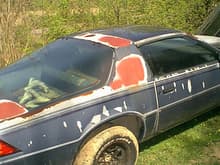 close up of the paint when i first got it, as usual w/ gm cars suffering from the infamous &quot;paint peal&quot;