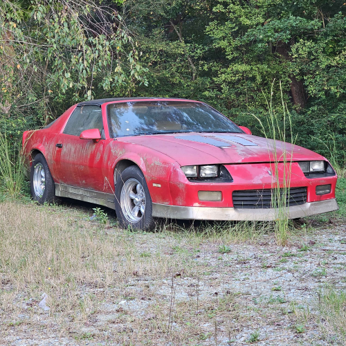 Pic from when I first saw her