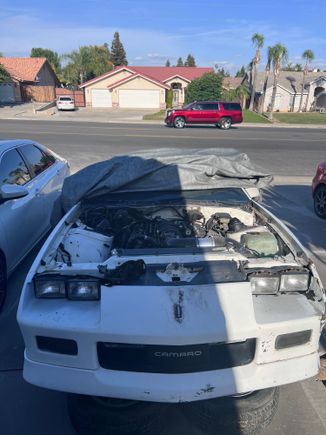 Previous bumper and spoiler. The year on the back of the white bumper is a 91