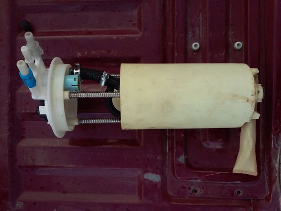 A new strainer for the 4th Gen module.