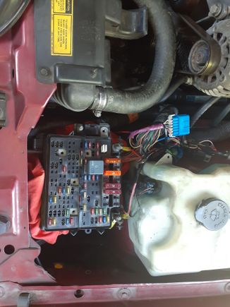 For now just running the facotry truck fusebox underneath the hood. Truck harness is still pretty much uncut.