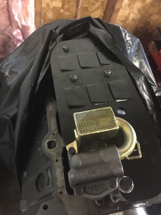 Finally got pump and windage tray torqued. Installed pickup