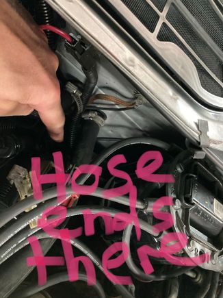 The hose ends in a wire harness in front of the passengers side firewall