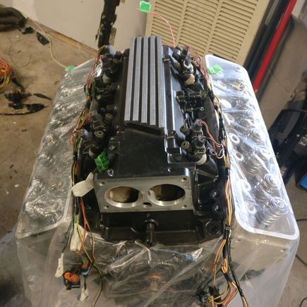 Following pockets directions on making an LT1 harness. I took the original harness apart and am laying each sensor harness on individually . I'm just about done that step, then I'll add ignition power and the rest of the grounds. That'll take care of the bulk of the lt1 harness.