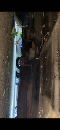Mid section underside picture 