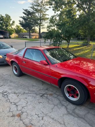 I bought a 1983 Camaro I’ve been working on. I’ve never seen one with the chrome trim behind the doors/on the roof. Any idea if this is original to the vehicle? The door handles read “Designer Series.”