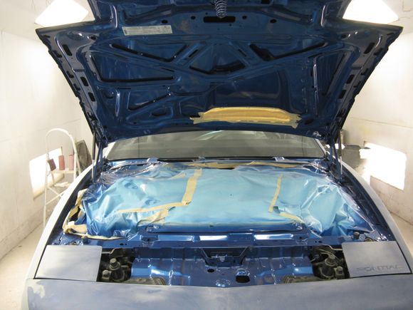 2010 Paint Restoration