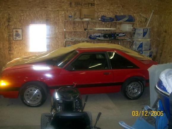 it needs a bath