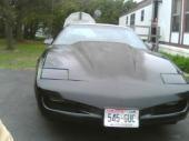 front veiw