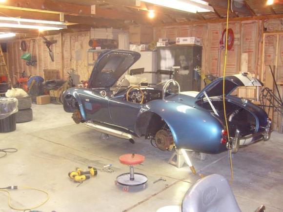 Cobra 016
