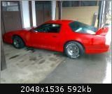 38243180004 medium