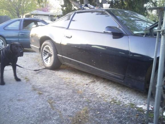 Ignore the ford in the backround please