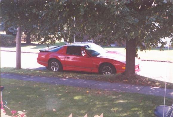 Terrific driving car!