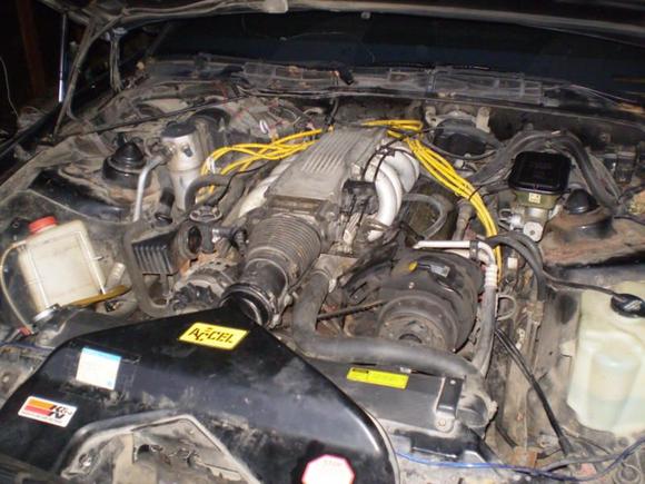 everyone keeps saying its not stock but at the moment i have no idea.