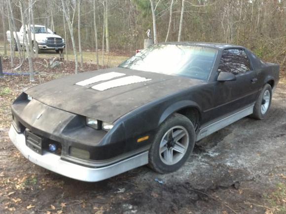 She needs a bath I know.