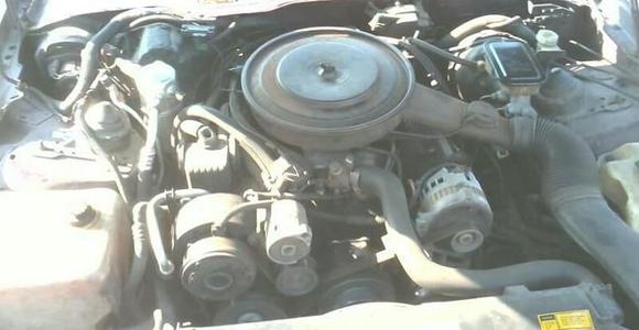 216872 521250351225703 450612099 n