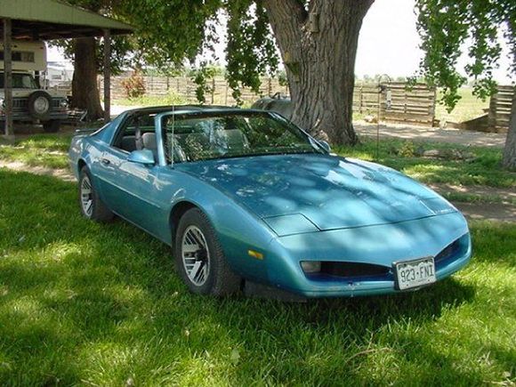 Bella (91 Firebird Formula) Maui Blue