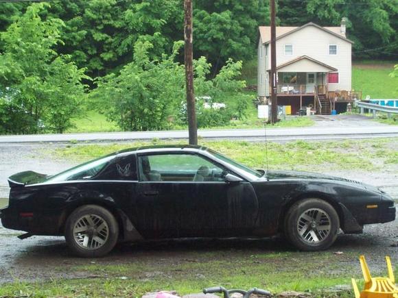 drive it every day rain snow sleet or hail the bird must get through smokes a little but runs good