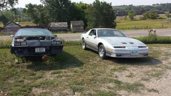 The camaro stripped of parts and now sitting on logs